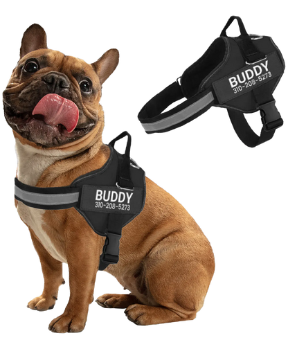 Personalized No Pull Dog Harness + FREE Leash